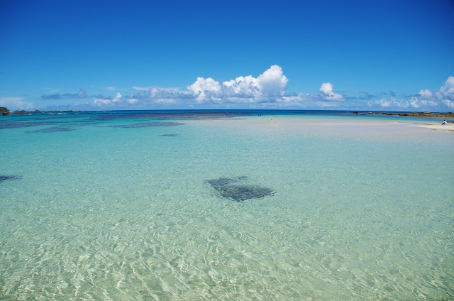 How to Enjoy Japan's Tropical Island Amami Oshima to the Fullest ...