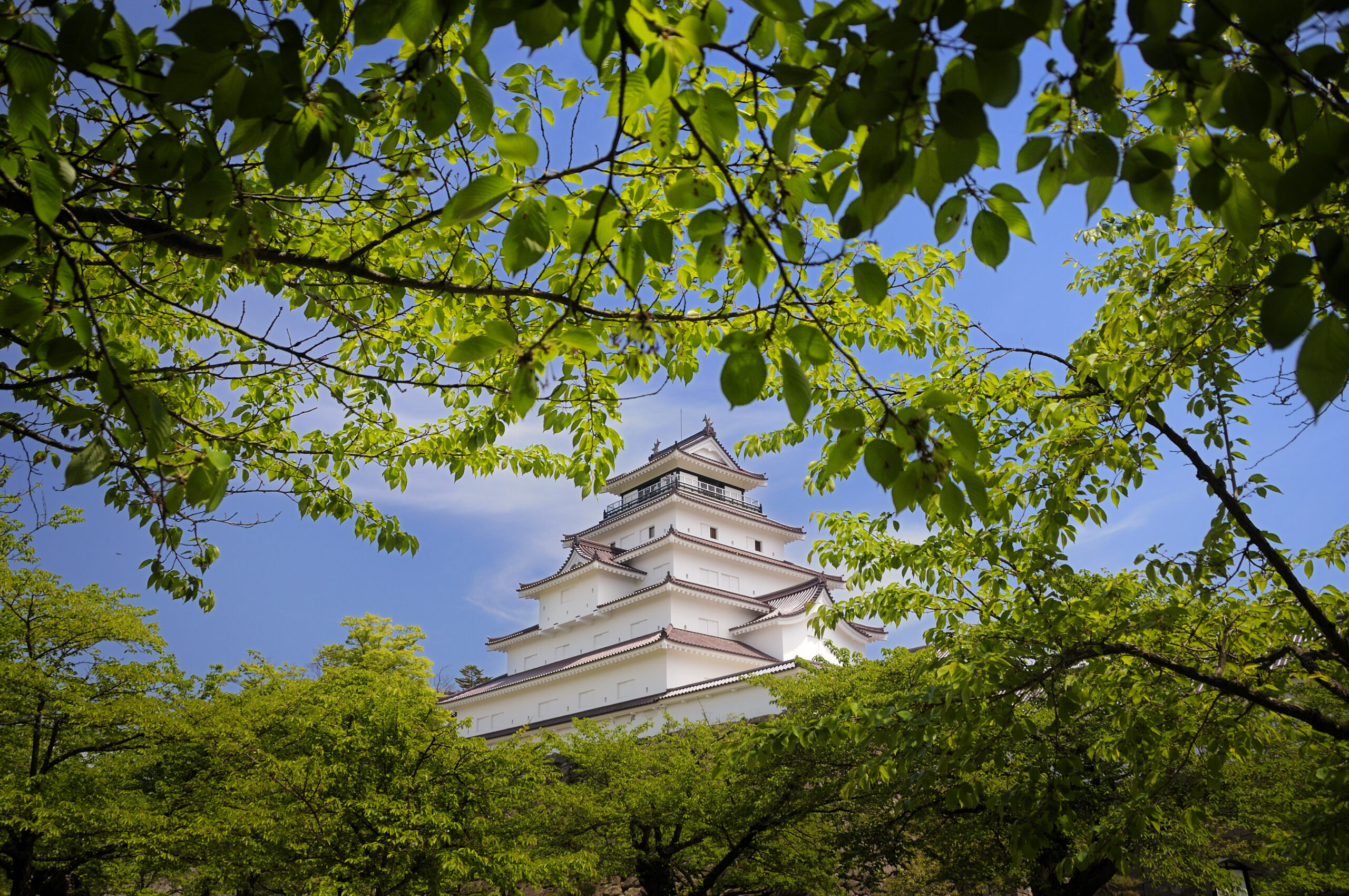 Tsurugajo Castle (Summer)