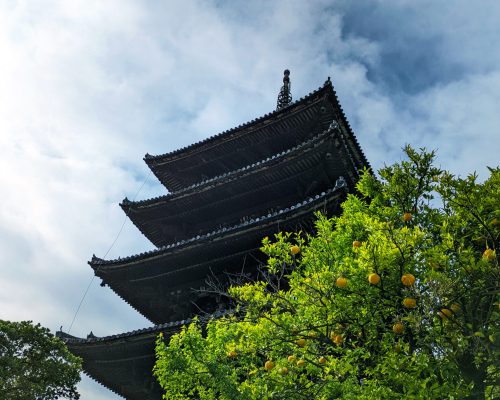 Hokan-ji Temple (Yasaka Pagoda)